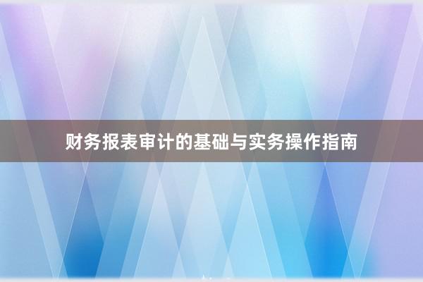 财务报表审计的基础与实务操作指南