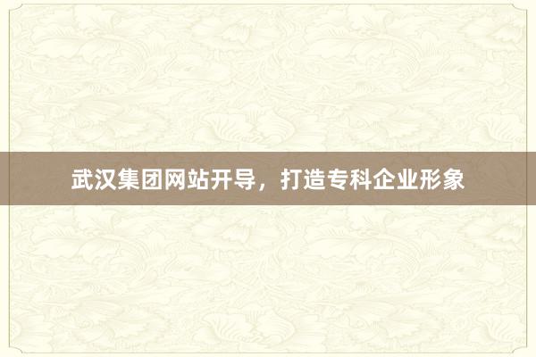 武汉集团网站开导，打造专科企业形象